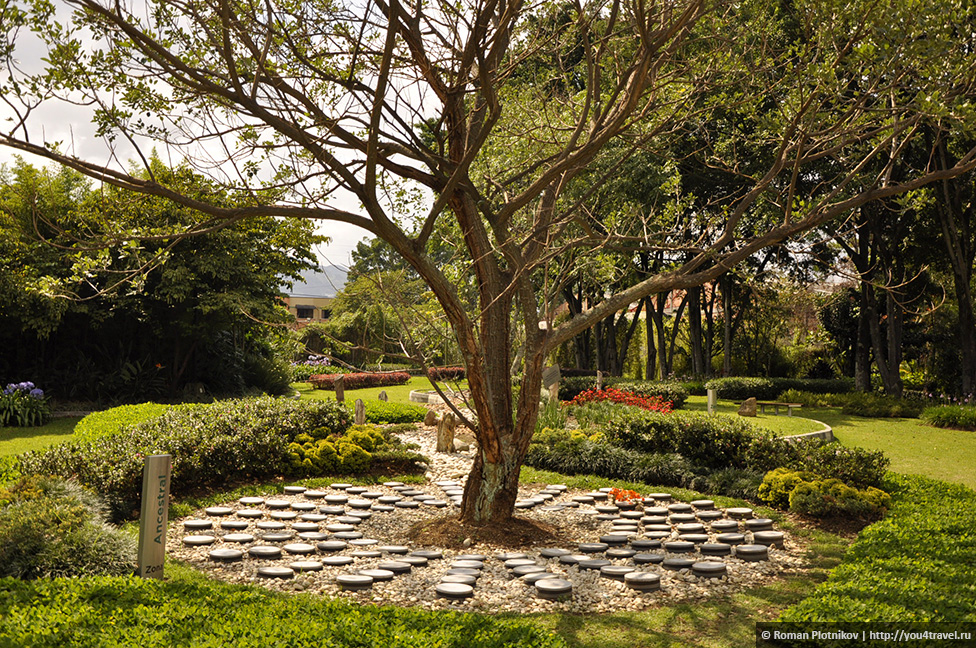 У цьому невеликому, відносно новому, як можна побачити по підписаним надгробком, садку Bosque de Vida, кожен може купити собі місце для останнього притулку