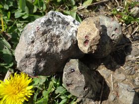 Фото: Ева Бухарова   «Середній розмір каменів коливається між двома і вісьмома міліметрами», - уточнює ювелір