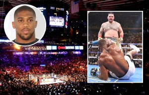 Побежденный Кличко боролся за реванш, но Льюис ушел в отставку