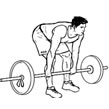 Румунська станова тяга   (Станова тяга на прямих ногах) - ефективна вправа для розвитку біцепса стегна і сідничних м'язів, що представляє собою відведення таза назад c з утримуванням штанги або гантелей перед собою на рівні стегон