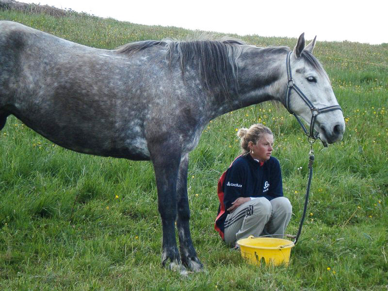 Знайти тут згодом роботу, пов'язану з навколишнім середовищем - це теж трохи виклик »