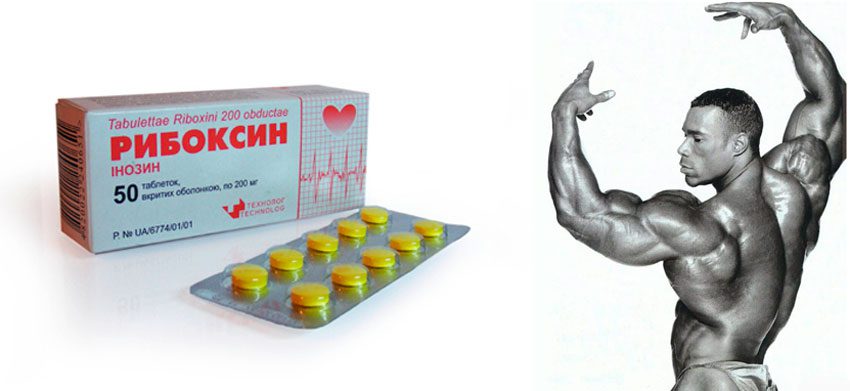 Рибоксин є нестероїдний анаболик, який приймають додатково до основного курсу стероїдів атлети, що займаються бодібілдингом і пауерліфтингом