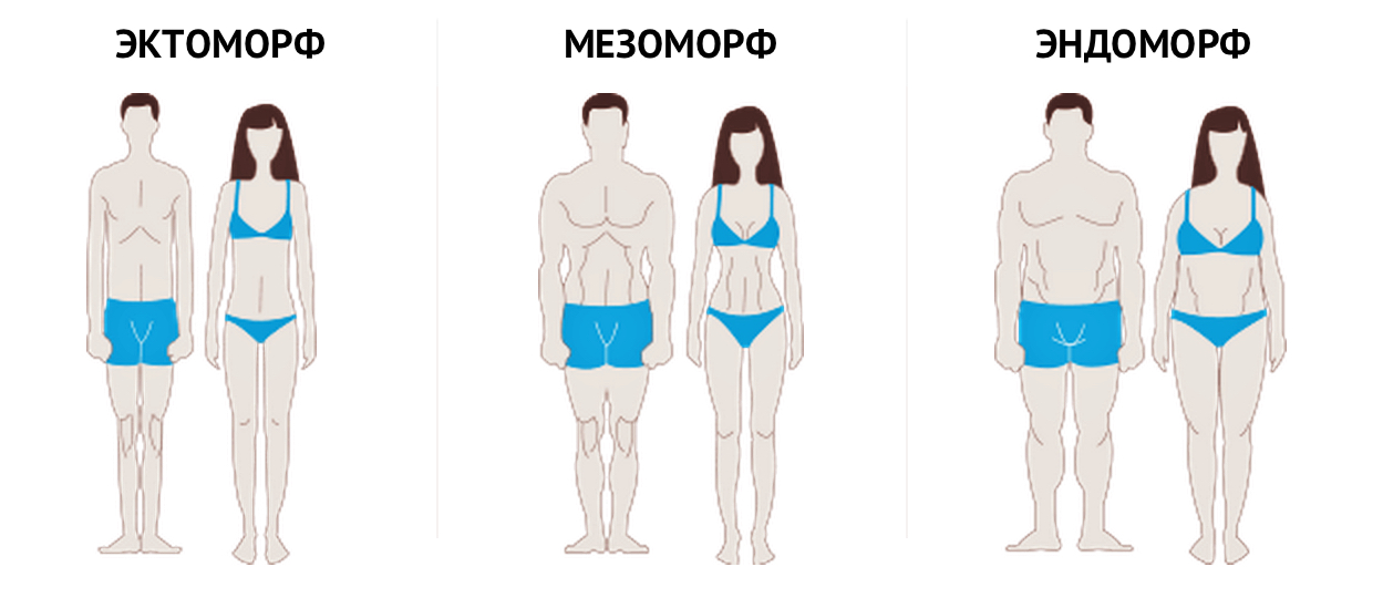 Про трьох типах статури - ектоморфний, мезоморфному і ендоморфний - розповідають ще в школі