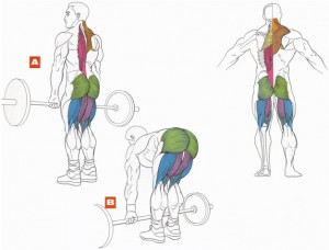 Начебто проста вправа, однак, неправильна техніка може зашкодити вашій спині, так що не варто гнатися за вагами і робити тягу як попало