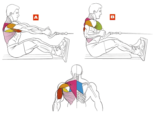 Зверніть увагу, що вправа особливо корисним вважається для атлетів, які мають проблеми з опрацюванням м'язів середини спини